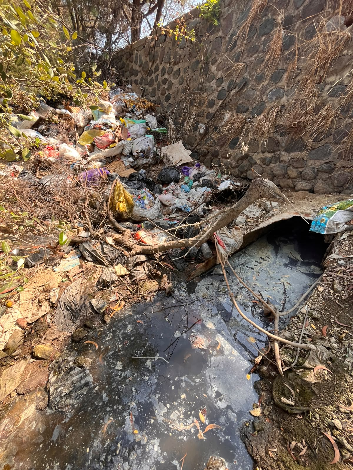 When Leachate from the Suwung Landfill Threatens the Mangrove Ecosystem