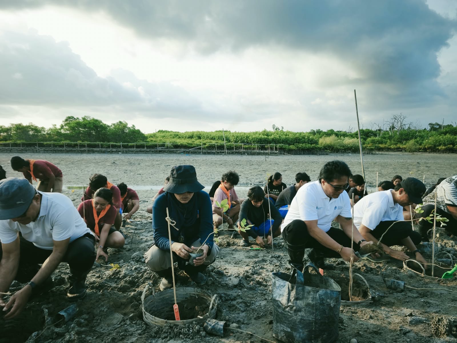 IWO Bali Pledges to Protect Bali’s Environment, Calls on Young People to Preserve Mangrove
